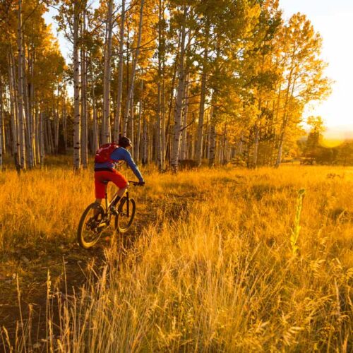 Move more with less pain by using Prolotherapy from Aspen Integrative Medical Center in Flagstaff, Arizona. A mountain biker can get back on the bike sooner with naturopathic care.