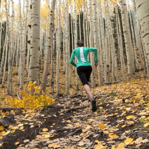 Move more with less pain by using Prolotherapy from Aspen Integrative Medical Center in Flagstaff, Arizona. A trail runner can get back on the trail sooner with naturopathic care.