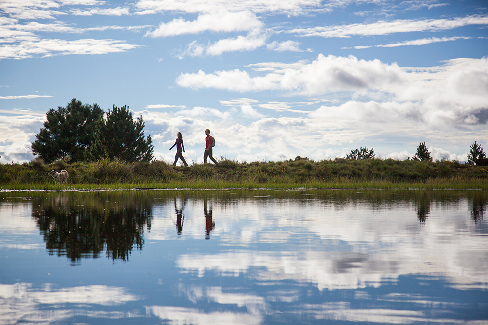 young couple walking along pond with dog