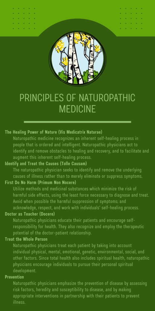 The principles of naturopathic medicine